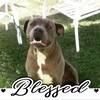 brianm562